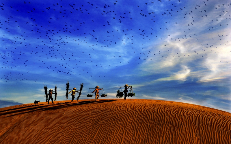 531 - LIGHT ON THE HILL - QUOC HUY - viet nam.jpg